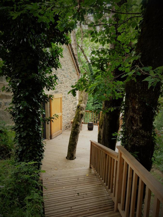 Domaine Des Marequiers Chambre Pimprenelle Saint-Germain-du-Teil Ngoại thất bức ảnh